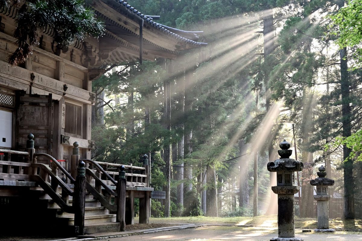 sun rays, forest, koyasan temple, fog, sun beams, trees, nature, japan