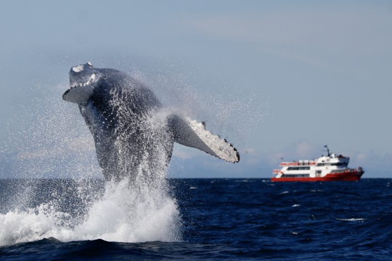 Magisches Island: 10 Tage zwischen Mythen und Urgewalten